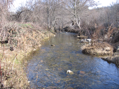 Dry Creek