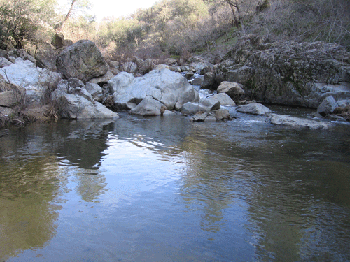 Dry Creek pool