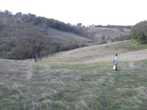Spenceville grassland and woodland habitats in late winter