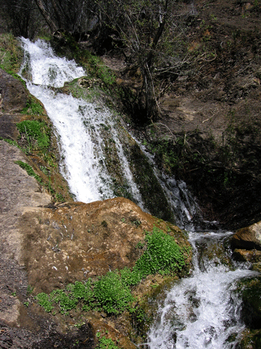 Bellyache Falls photo