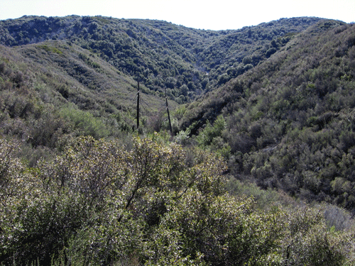 A north slope canyon