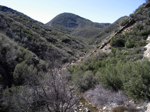 Tule Fault Canyon