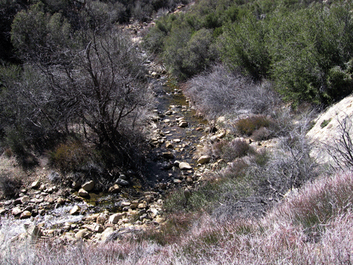 Tule Fault Canyon Creek