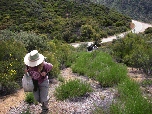 Steep hike up trail