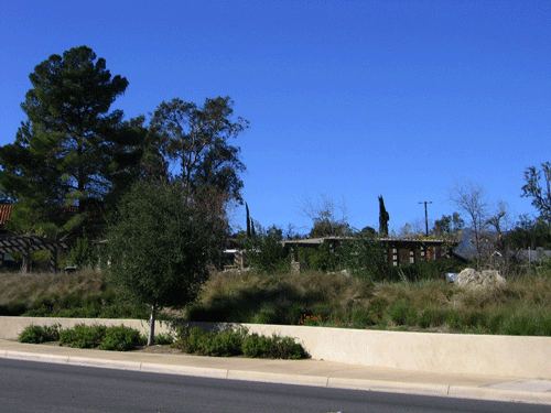 Photo of park from Ojai Ave.