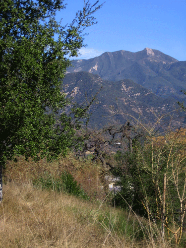 Chief Peak from Deergrass Meadow