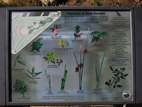 Photo of Riparian Interpretive Sign