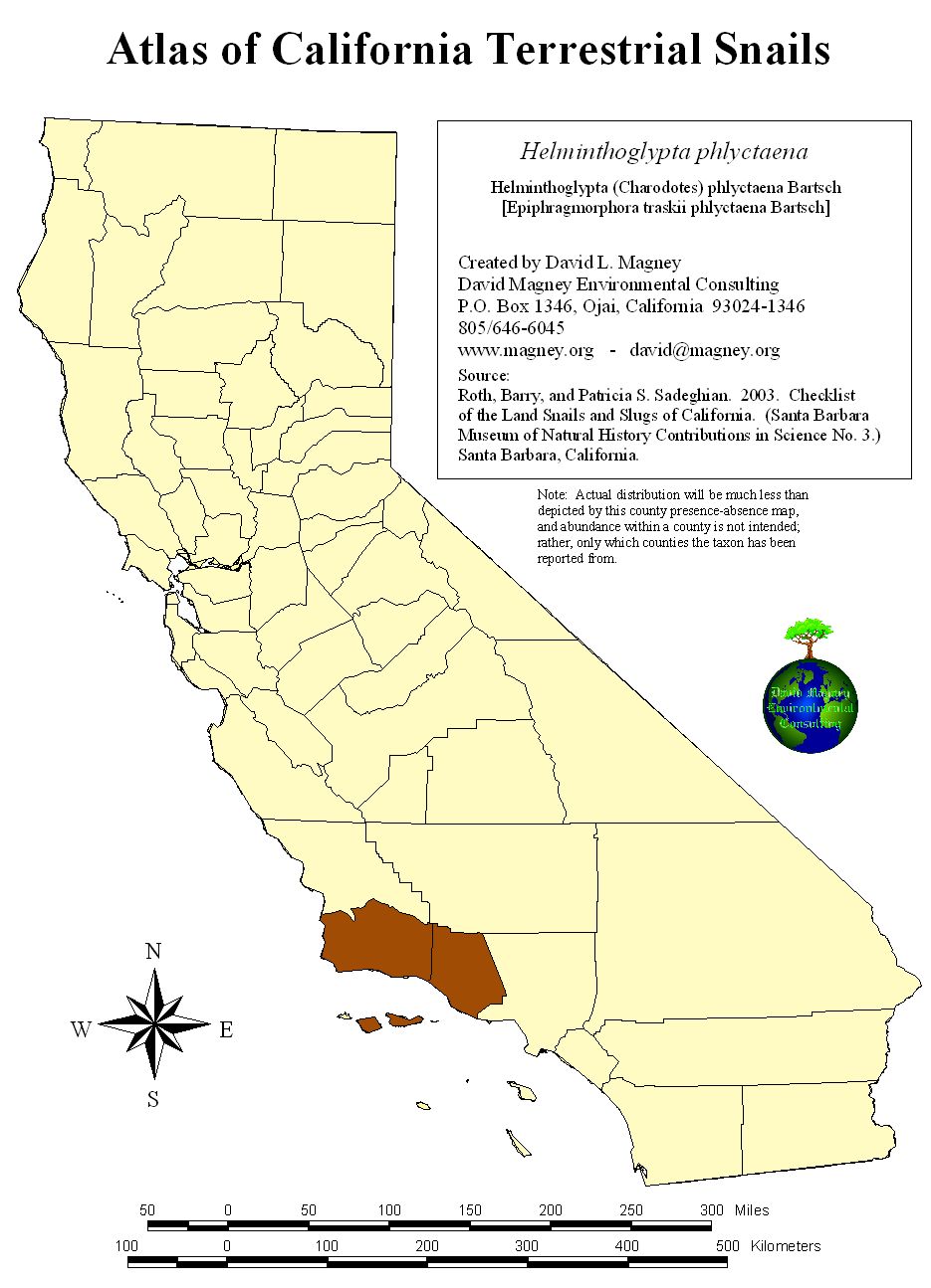 helminthoglypta california)