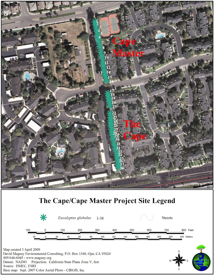 RPM Services - Eucalyptus Tree Project Site Map