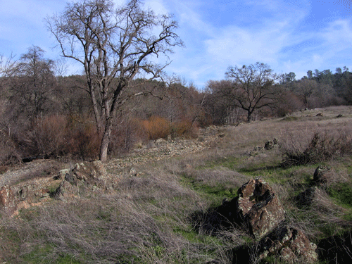 Dry Creek floodplain