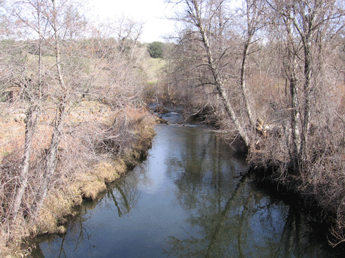 Dry Creek