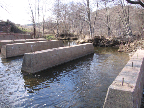 burned Spenceville bridge on Dry Creek