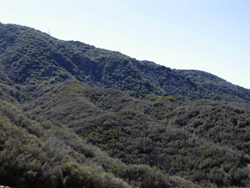 North slope chaparral