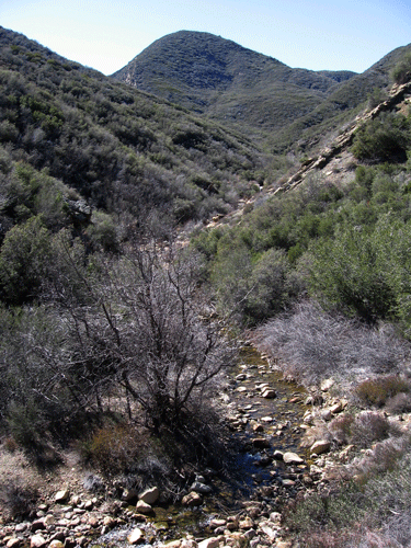 Tule Fault Canyon