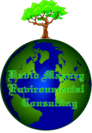 DMEC Logo